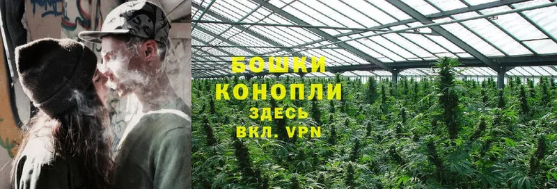 цены   OMG сайт  Бошки марихуана OG Kush  Артёмовский 